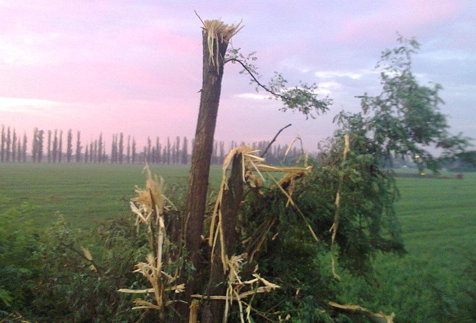 «Tre Olmi, intervento senza senso»