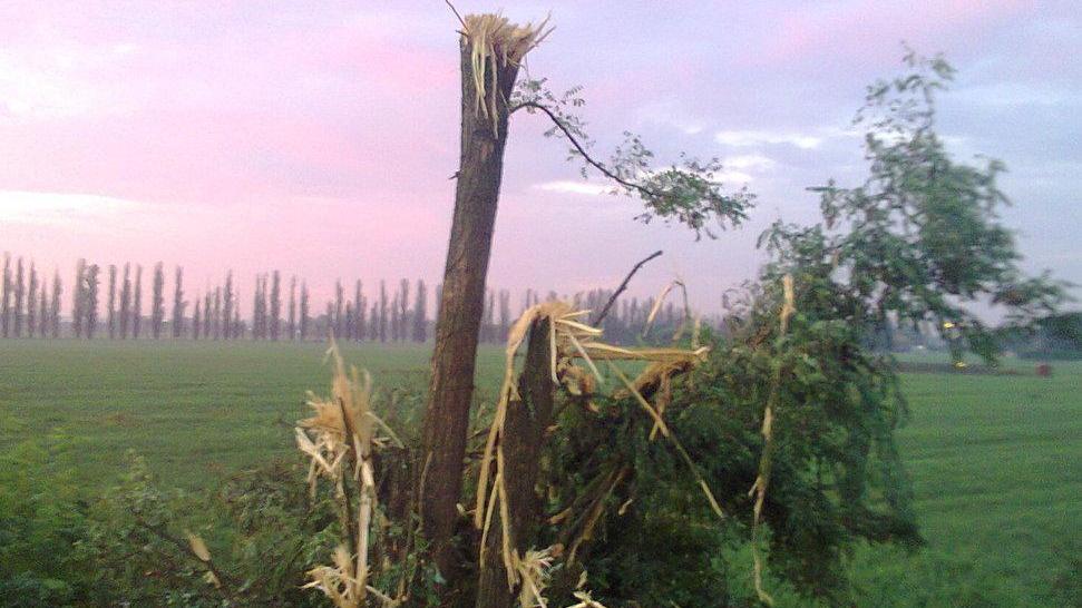 «Tre Olmi, intervento senza senso»