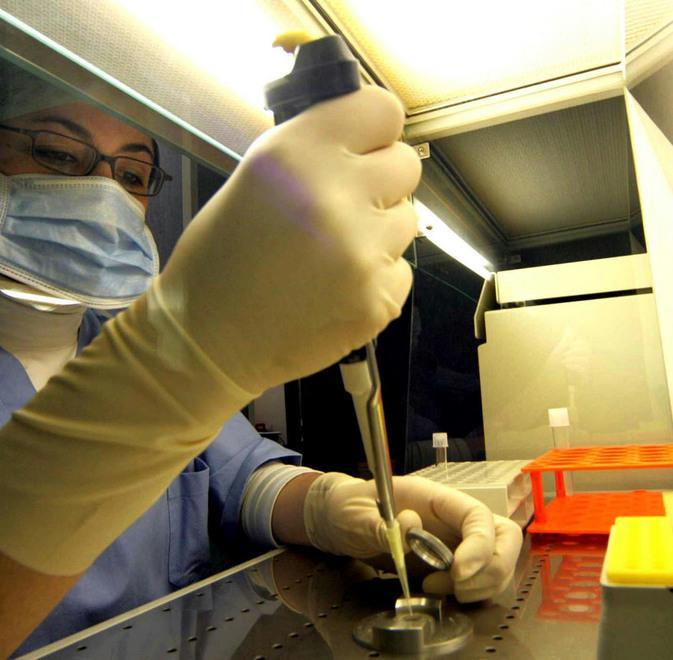 Eterologa, via alla corsa. Ed è già emergenza donatori 