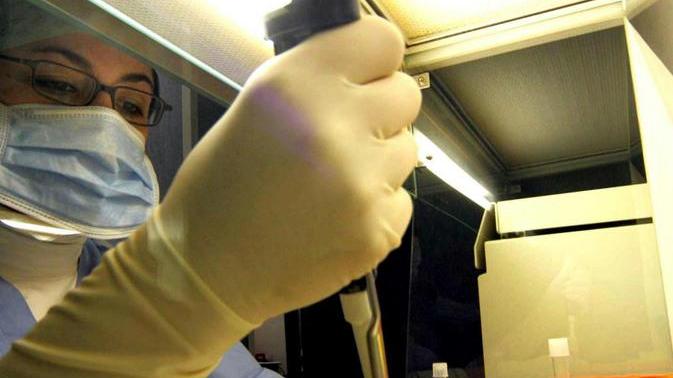 Eterologa, via alla corsa. Ed è già emergenza donatori