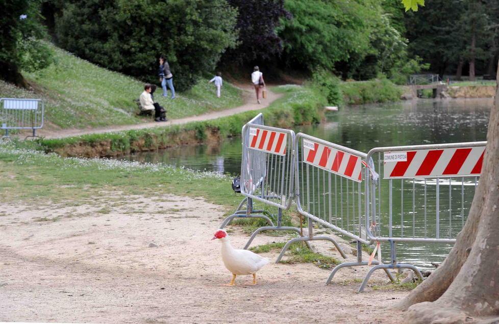 Al via il cantiere al lago del Villone Puccini 