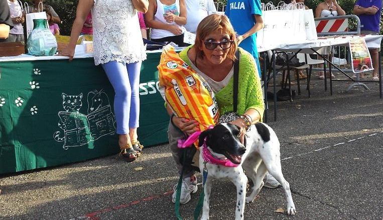 I cani aiutano i gatti Successo della sfilata in ricordo di Picitrì 