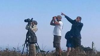Oltre duemila rapaci avvistati nei cieli dell’Elba