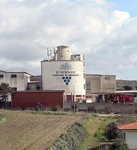 Il tesoro dei vini vulcanici svelato alla Cantina Sociale