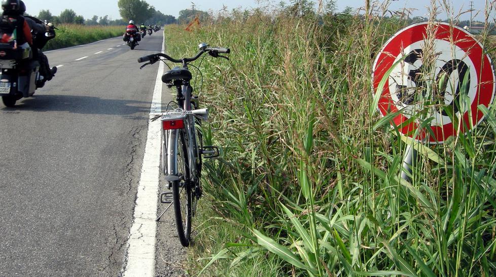 Sulle strade provinciali il pericolo dell’erba alta