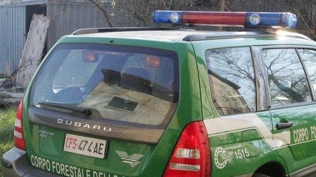 Giarola nel mirino di una banda di ladri Il paese si mobilita