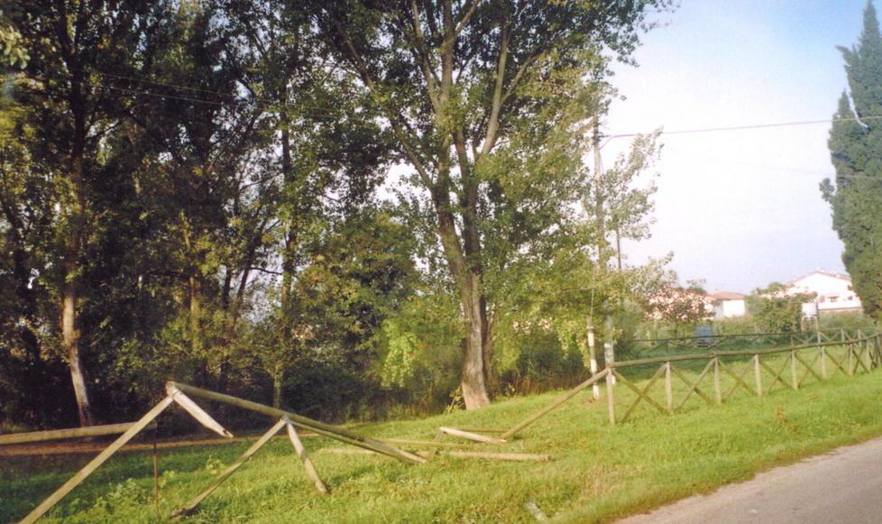 Vandalismo vicino al parco di Kyoto