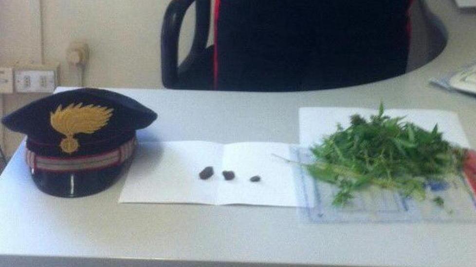 Giardiniere arrestato per spaccio di droga
