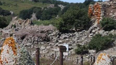 Tamuli, il primo sito accessibile anche ai non vedenti