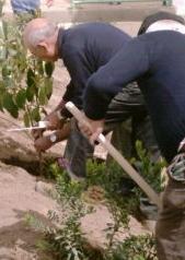 Anche Siniscola scommette sulle aree verdi