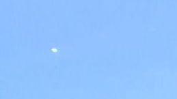 Non sarà un ufo ma... volteggiava