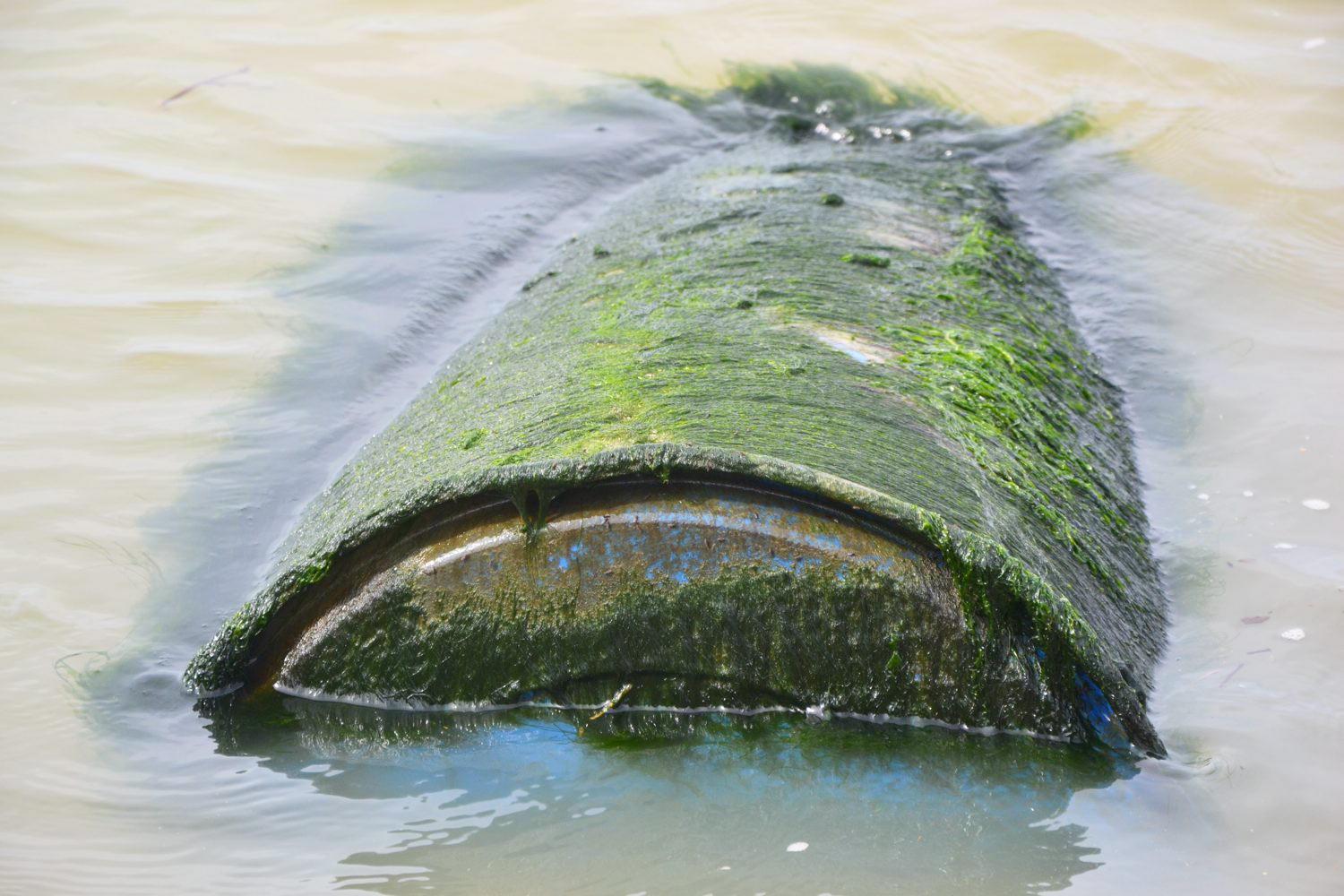Bidone sospetto trovato in Darsena Toscana, via agli accertamenti 