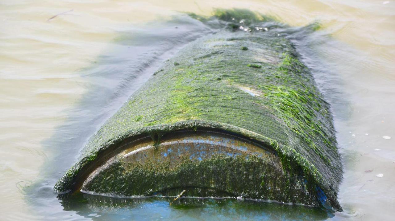 Bidone sospetto trovato in Darsena Toscana, via agli accertamenti