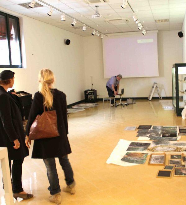 Museo di storia naturale new look 