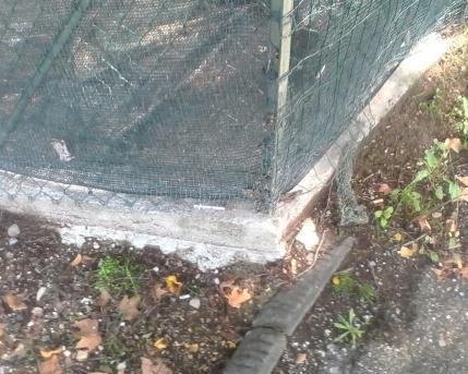 Alla scuola del Campino tornano a “fiorire” le siringhe 