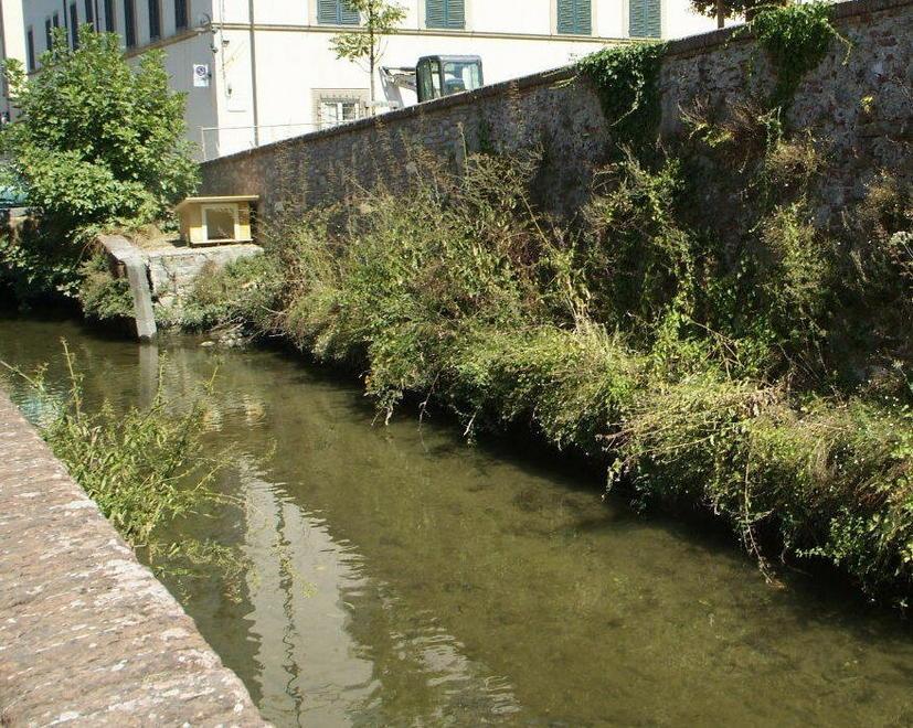 Morìa di pesci nel fosso a porta San Jacopo 