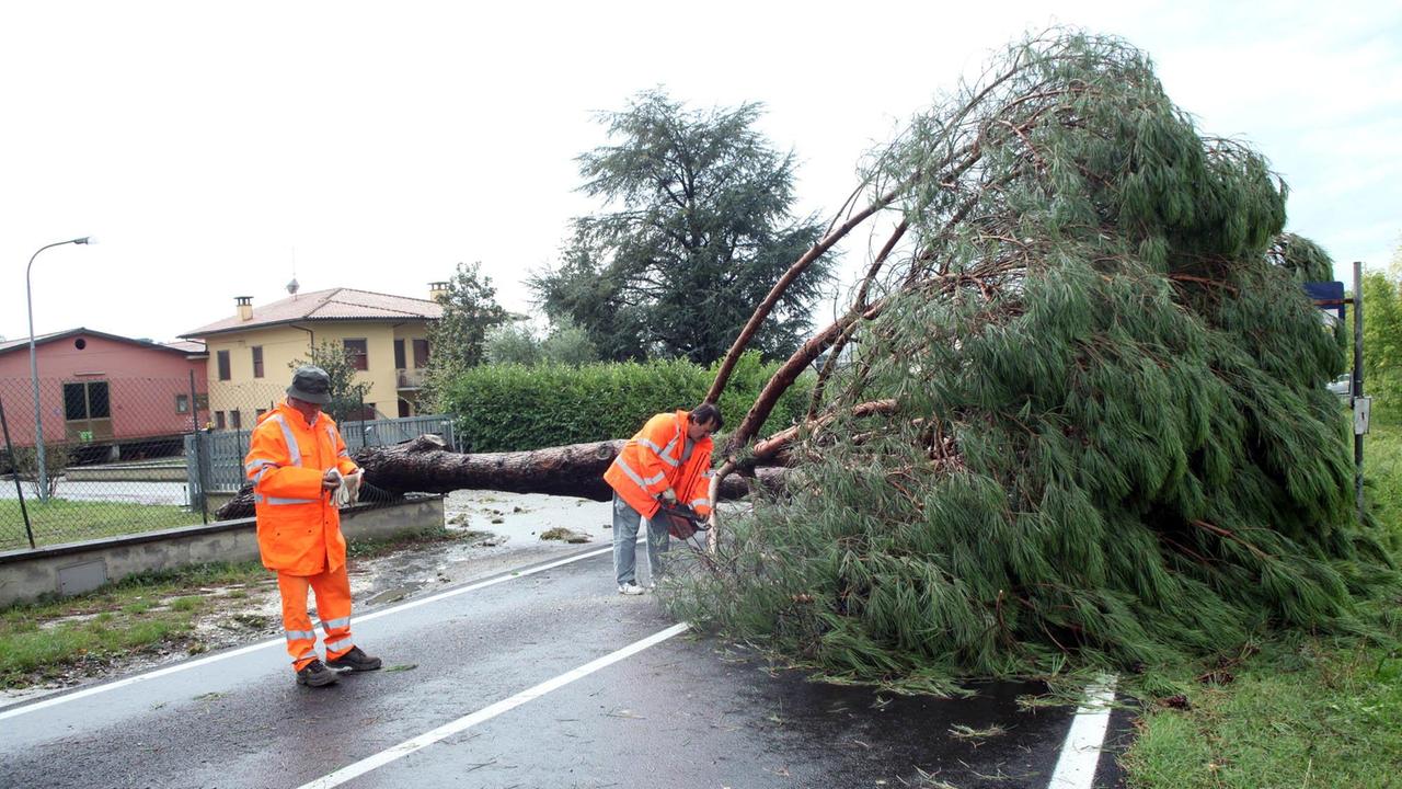 Tromba d’aria a Lamporecchio: ecco le schede per segnalare i danni
