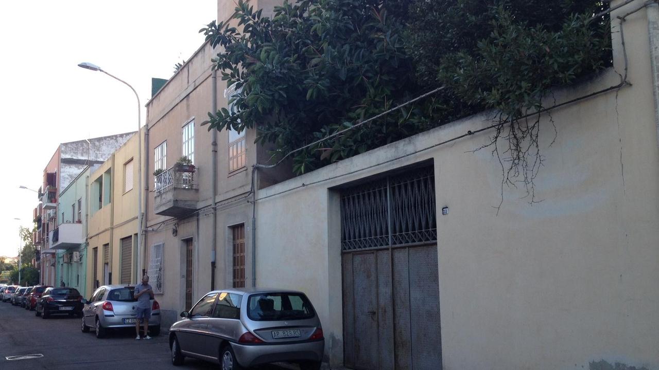 Sale sulla scala per salvare alcuni gattini, donna cade e muore