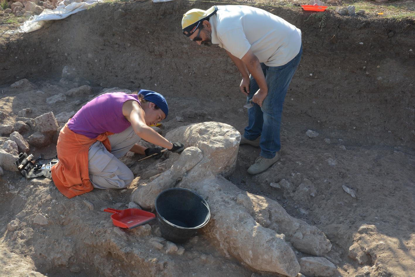 Monte Prama, il Pugilatore subito esposto al museo di Cabras 