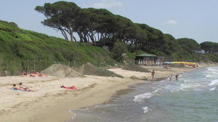 Intorbidamento del mare, ripascimenti fra le cause