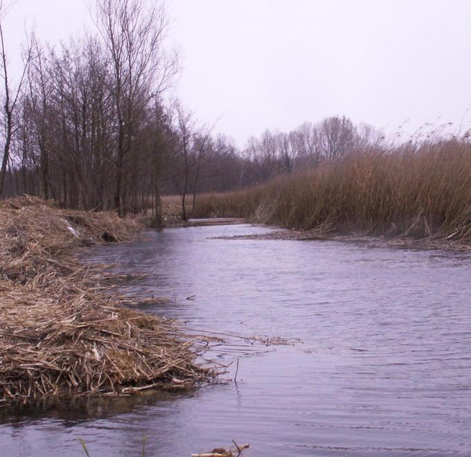 Lago Porta, non c’è monitoraggio 