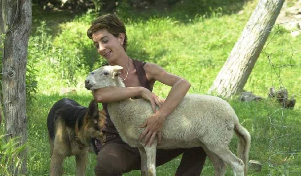 «Dagli allevamenti ai cimiteri delle pecore» 