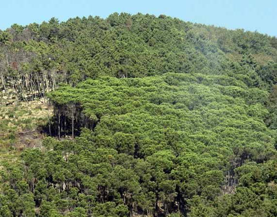 Via il monte Brugiana dai siti estrattivi 