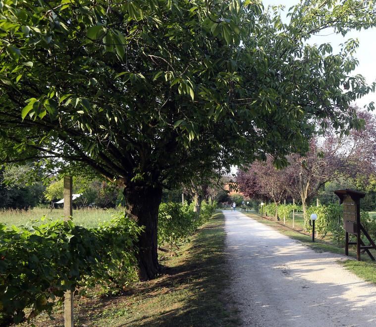 Ferrara Il Comune Cerca Un Nuovo Gestore Per Il paradiso Verde Di 