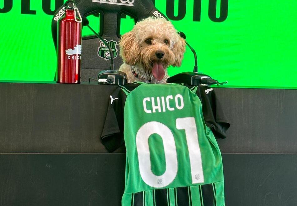 Il Sassuolo 'ingaggia' Chico, il cane social. Video