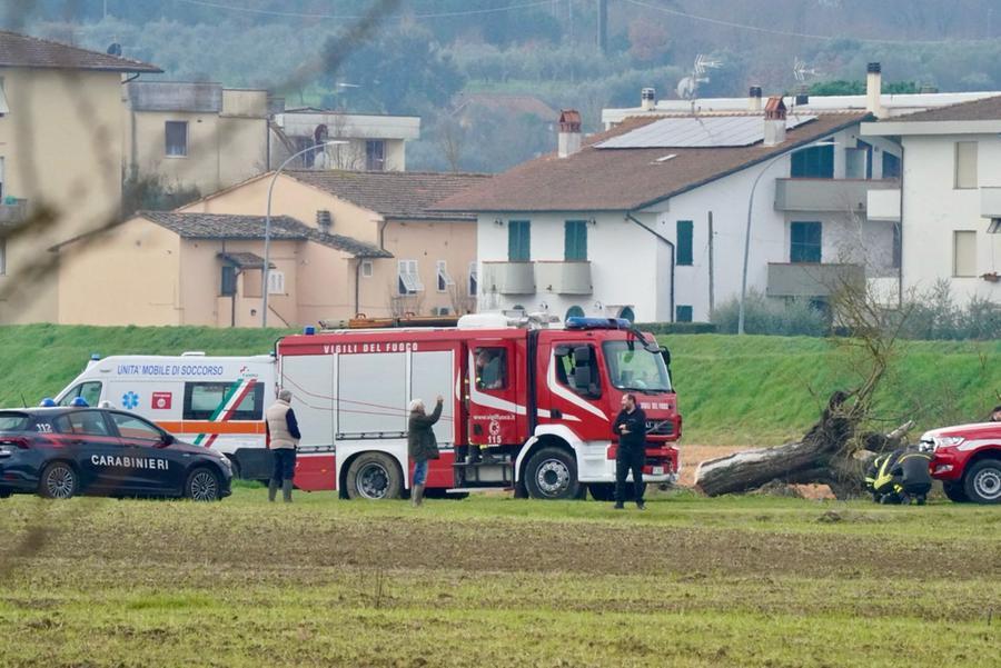 Ponsacco, muore a 76 anni schiacciato da un albero - Il Tirreno