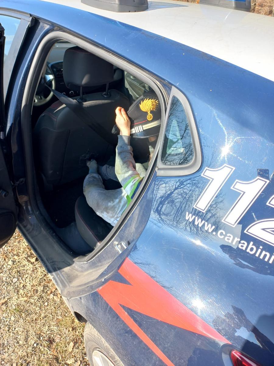 Reggio Emilia, bambino di 4 anni si perde nel bosco: trovato dopo un ...