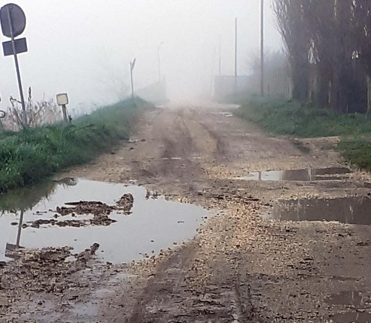 Pontelangorino, il ponte non c'è più e la ditta è sparita - La Nuova ...