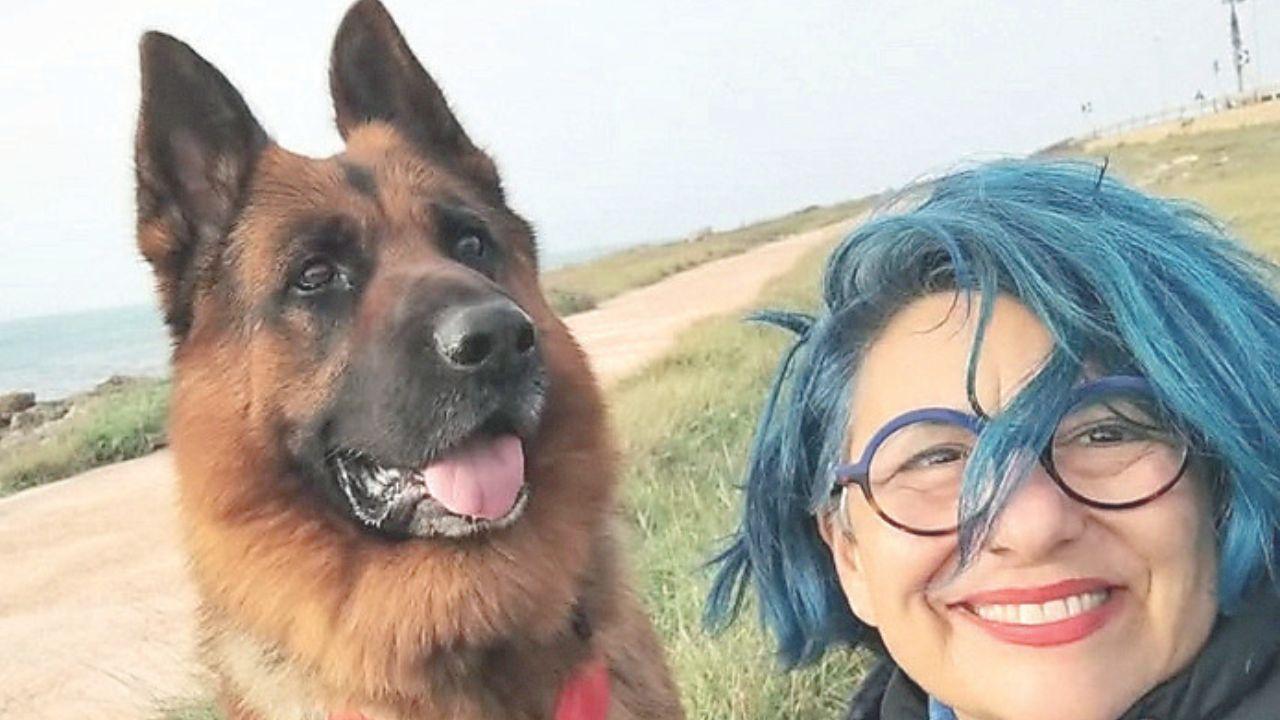Salvò la sua padrona che stava annegando, il cane eroe Giulio arriva in ...