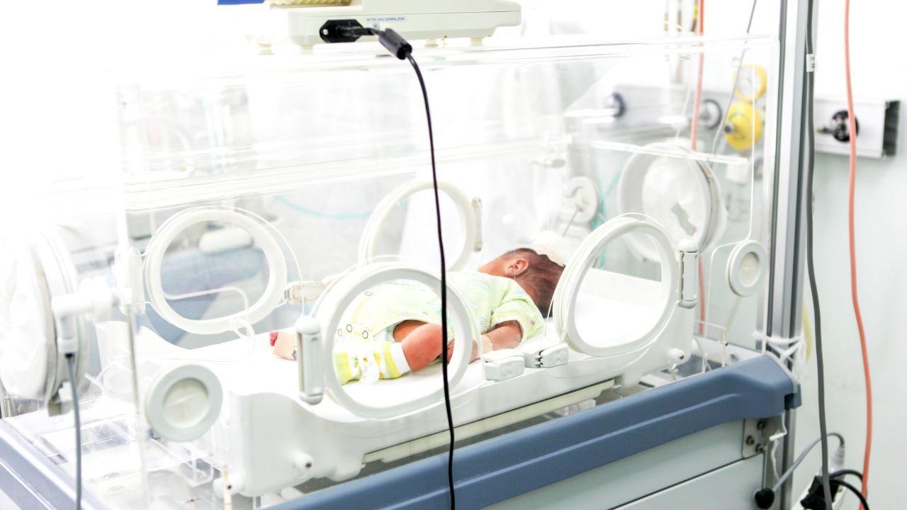 https://api-sites-prd.saegroup.abinsula.com/api/social/image/contentid/policy:1.100748304:1755170686/1.jpg