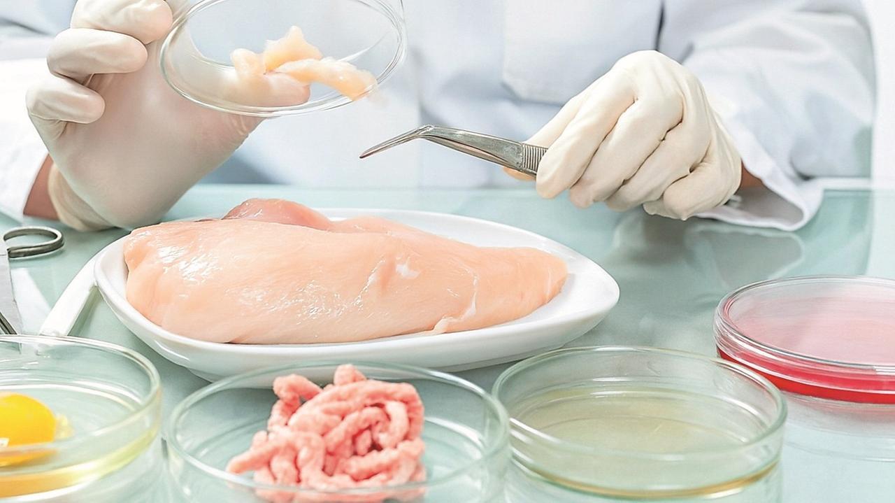 医師のアドバイス：「サルモネラ菌に対して食品を分けて、キッチンでは手袋を使用しないでください」
