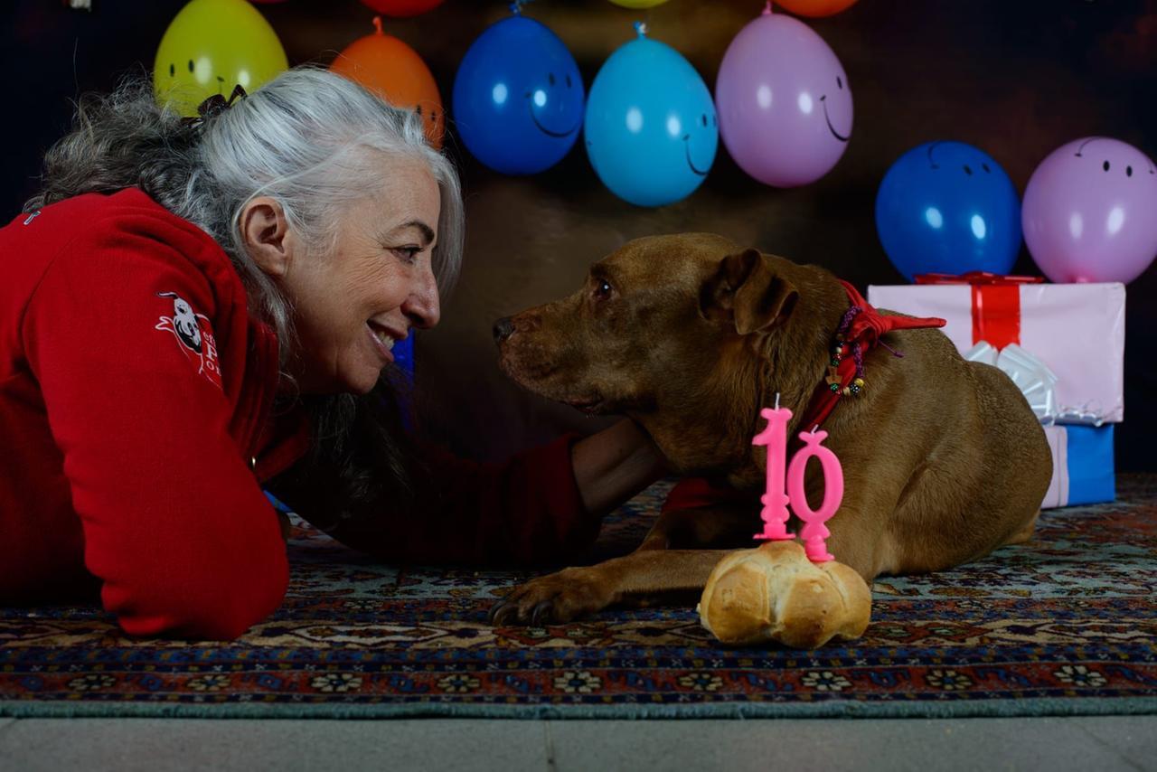 La veterinaria Monica Pais: «Palla mi ha cambiato la vita, ora curo gli ...
