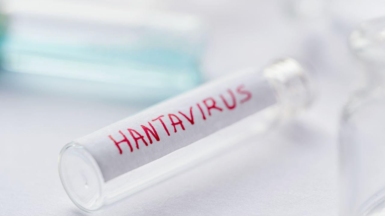 https://api-sites-prd.saegroup.abinsula.com/api/social/image/contentid/policy:1.100866908:1778329430/maci%20farmacia%20(2).jpg