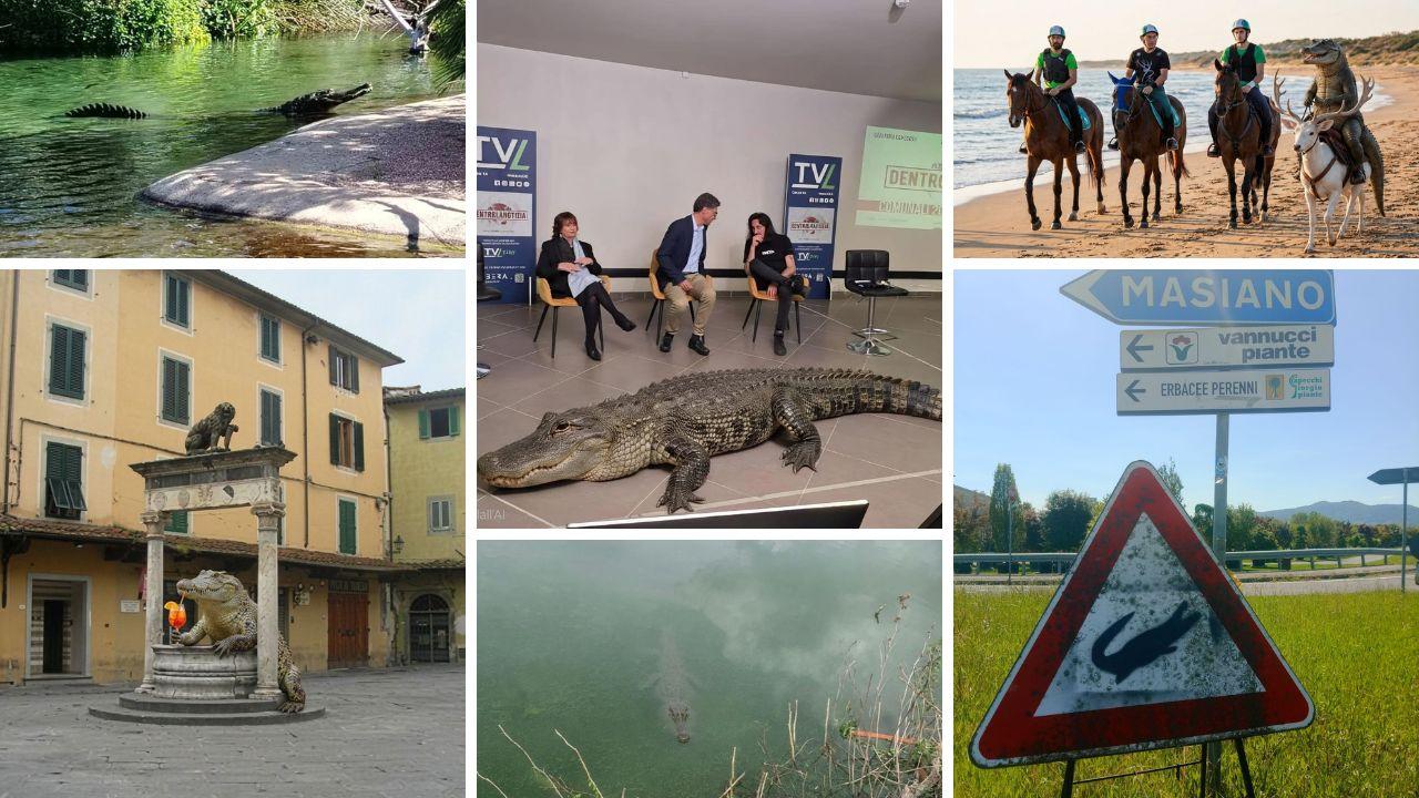 https://api-sites-prd.saegroup.abinsula.com/api/social/image/contentid/policy:1.100873392:1779533777/Copia%20di%20foto%20(10).jpg