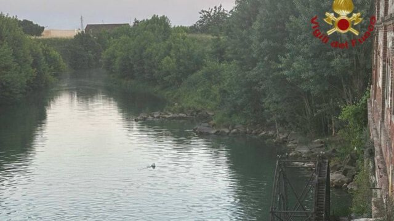 https://api-sites-prd.saegroup.abinsula.com/api/social/image/contentid/policy:1.100874144:1779707619/Copia%20di%20foto%20(40).png