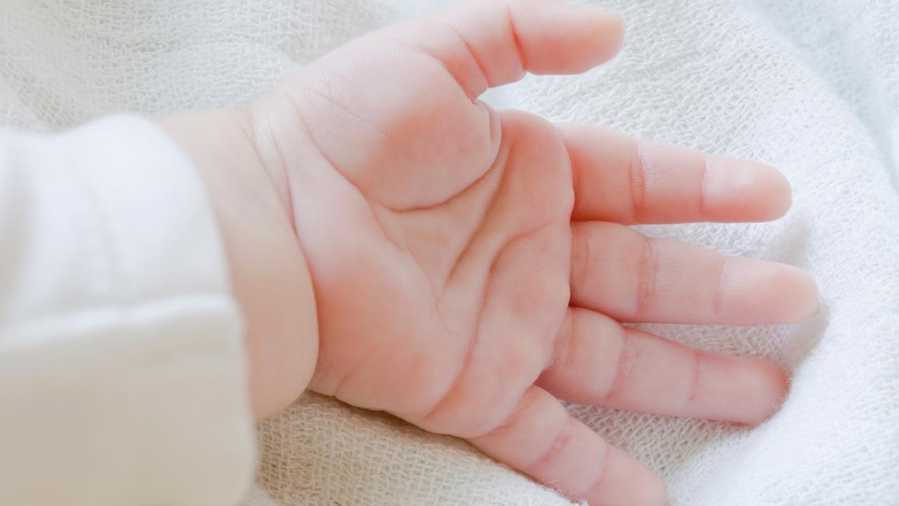 https://api-sites-prd.saegroup.abinsula.com/api/social/image/contentid/policy:1.100898493:1784811998/copia%20-%202026-07-23T150645.715.jpg