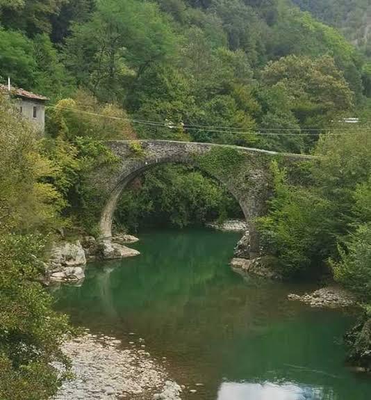 https://api-sites-prd.saegroup.abinsula.com/api/social/image/contentid/policy:1.100900756:1785332579/images%20(3).jfif