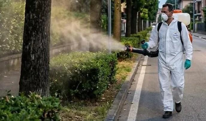 https://api-sites-prd.saegroup.abinsula.com/api/social/image/contentid/policy:1.100914823:1788789551/dengue.jpg