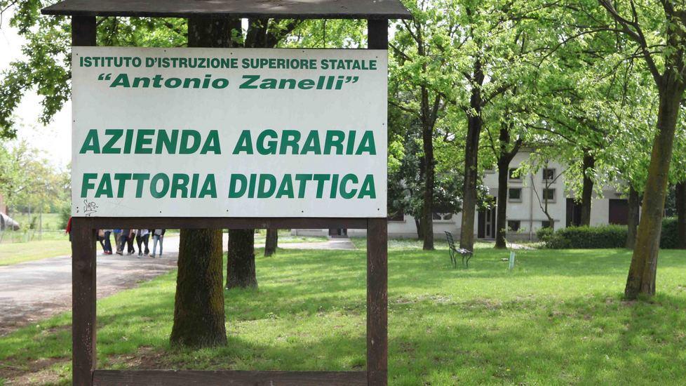 Operaio Colpito Al Volto Dal Calcio Di Una Mucca Gazzetta Di Reggio