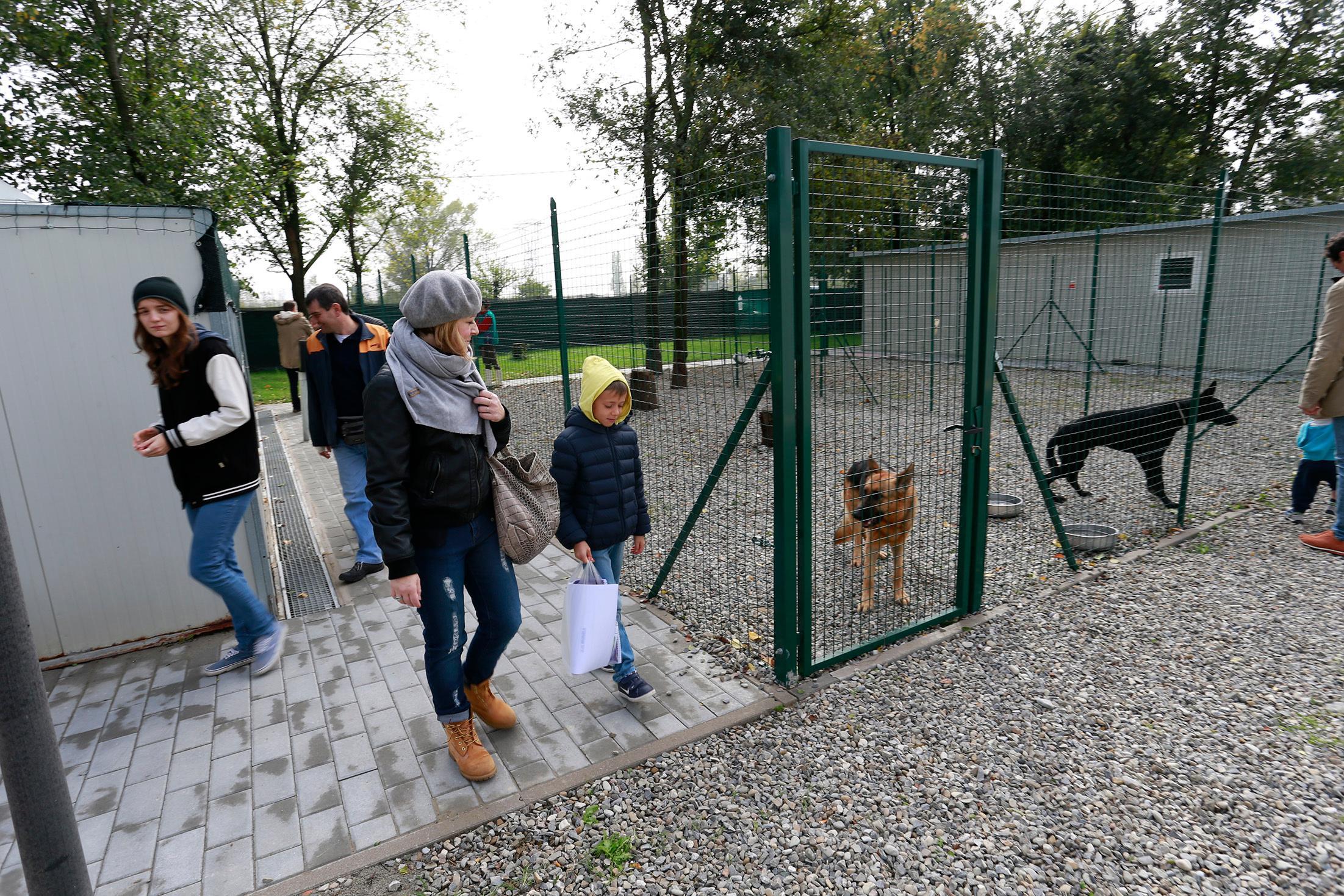 Muore e dona 100mila euro al canile e gattile di Modena Gazzetta di Modena Muore e dona 100mila euro al canile e gattile di Modena Gazzetta di Modena