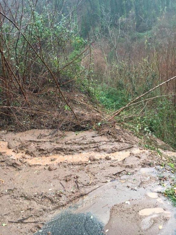 Lucca Prolungata L allerta Meteo rossa Scuole Aperte Ma Non Ovunque 