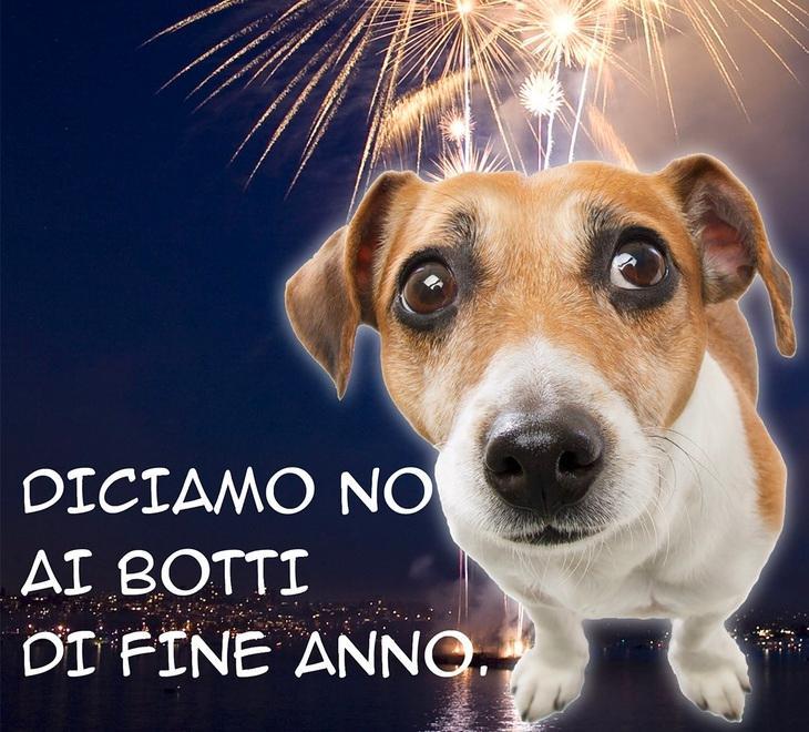 Massa, il comune si schiera No ai botti di capodanno Il Tirreno Massa, il comune si schiera No ai botti di capodanno Il Tirreno