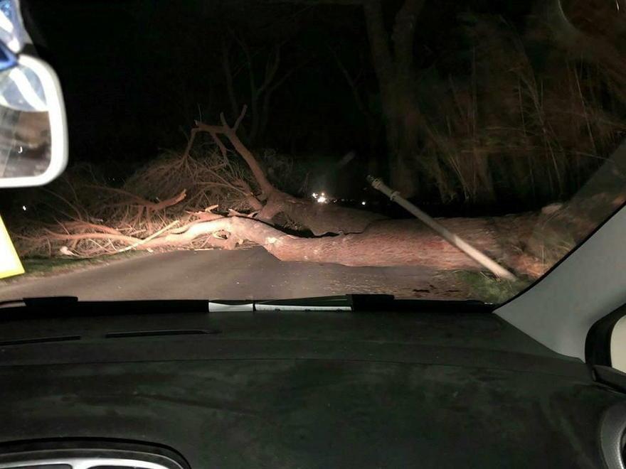 I danni causati dal vento di Ponente Il Tirreno