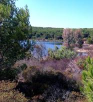 La Magia Di Baratz L unico Lago Naturale Della Sardegna La Nuova 