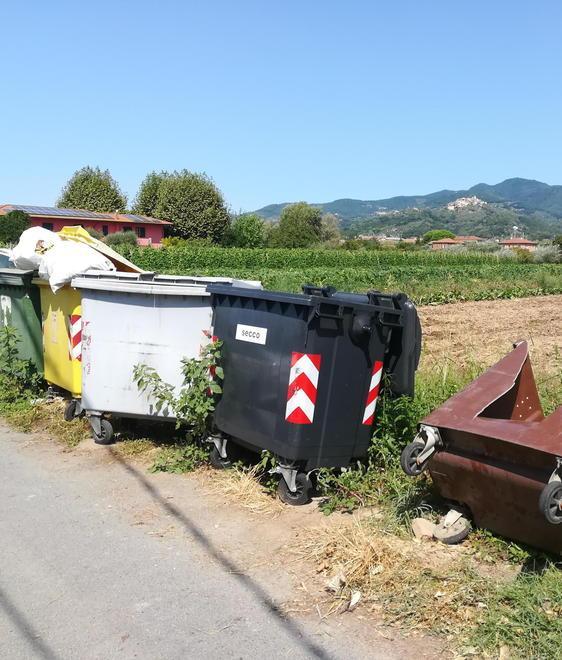 Quanta sporcizia in via Fossa Maestra Il Tirreno