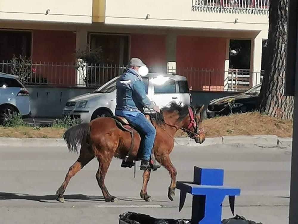 E a Grosseto c'è chi va a cavallo per la città - Video Il Tirreno